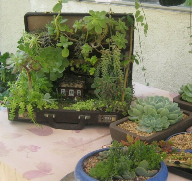 mini jardin original valise pots