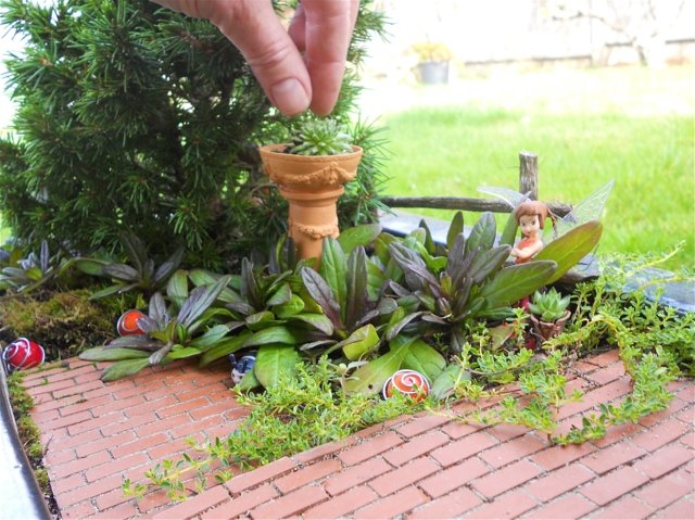 mini jardin pots plantes