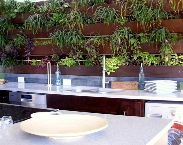 plantes vertes pour cuisine etagere