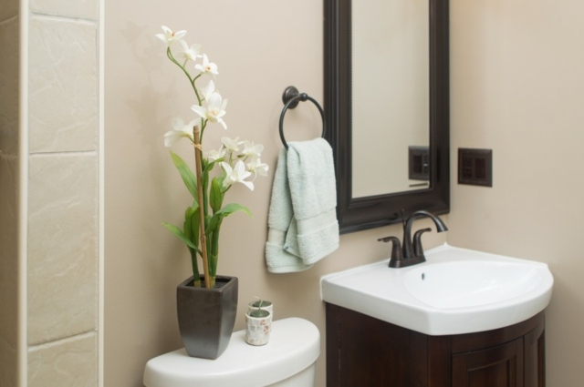 plantes pour salle de bains orchidee