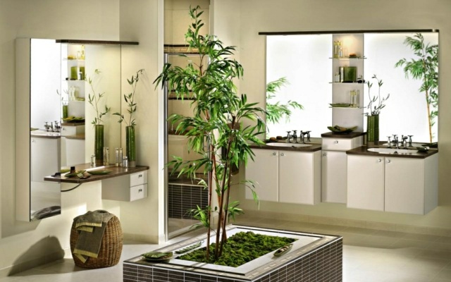 plantes pour salle de bains moderne