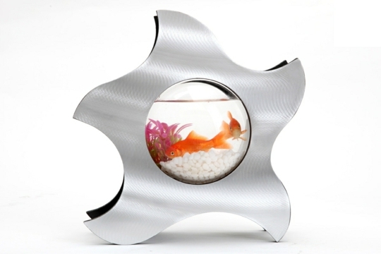 aquarium design metallique etoile