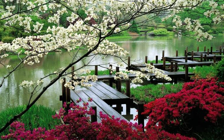 aménagement jardin zen japonais