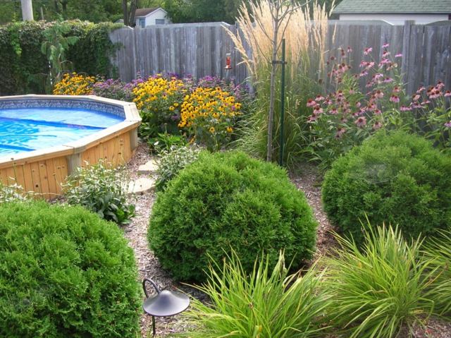 jardin amenagement plantes piscine