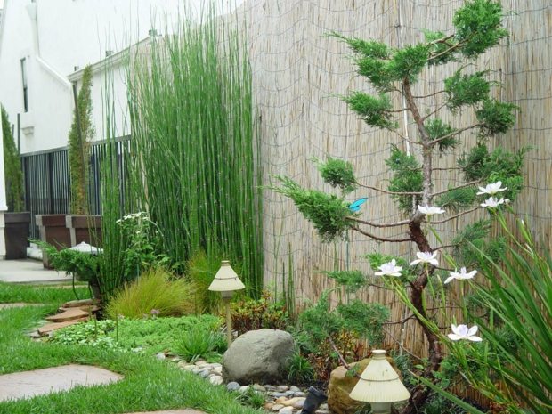 aménagement jardin zen cloture bambou