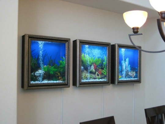 aquariums mural cadre photo