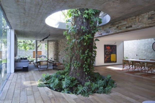 belle maison avec arbre incorporé au design