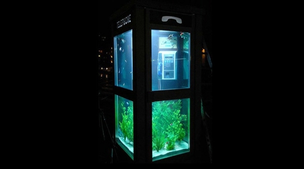 cabine telephonique aquarium design Benoit Deseille & Benedetto Bufalino