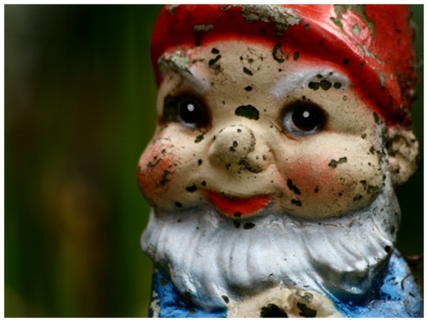 gnome jardin petit nain regard malin barbu enfant