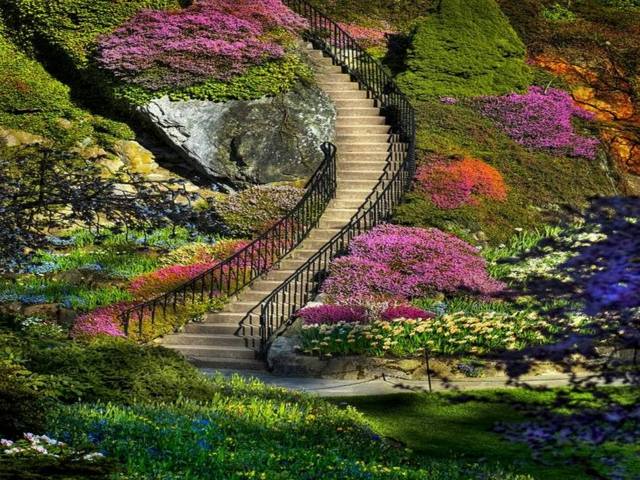 jardin spacieux escalier