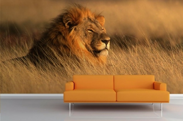 papier peint design lion photo animaliere