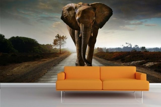 papier peint design photo elephant mural