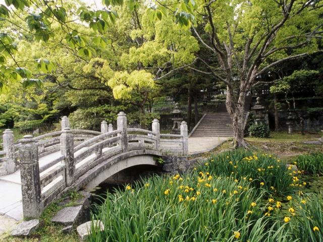 allée de jardin pont jardin japonais