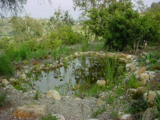 aménagement jardin extérieur permacole bassin eau pluie
