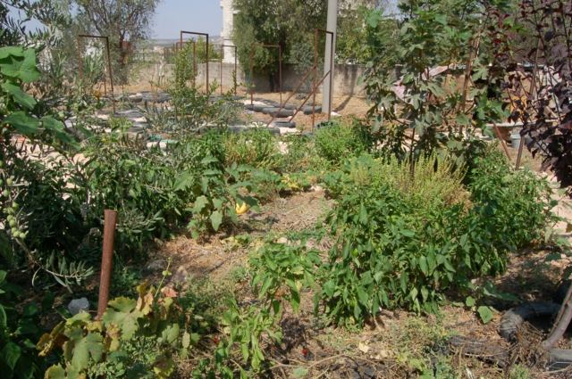 aménagement jardin extérieur permacole polycultures