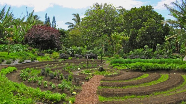 aménagement jardin extérieur permacole tropical