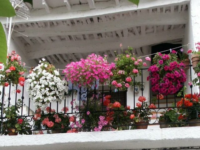 balcon decoration originale fleurs