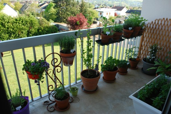 balcon paré de pots de fleurs verdure