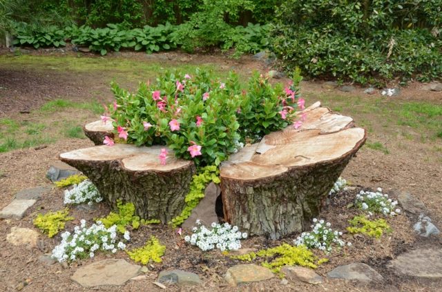belle decoration tronc arbre fleurs rose