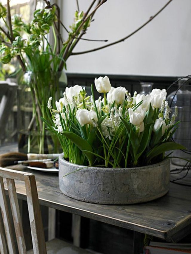 composition fleurs blanches  tulipes