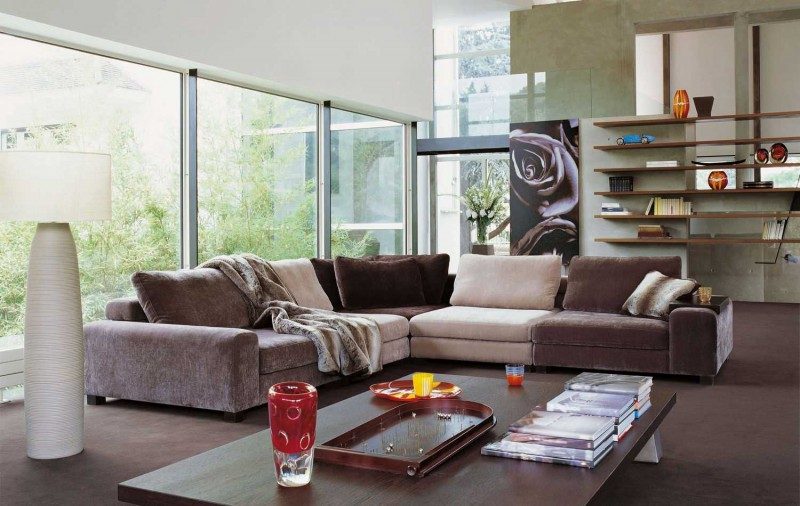 salon moderne canapé design roche bobois tableau roses table basse en bois