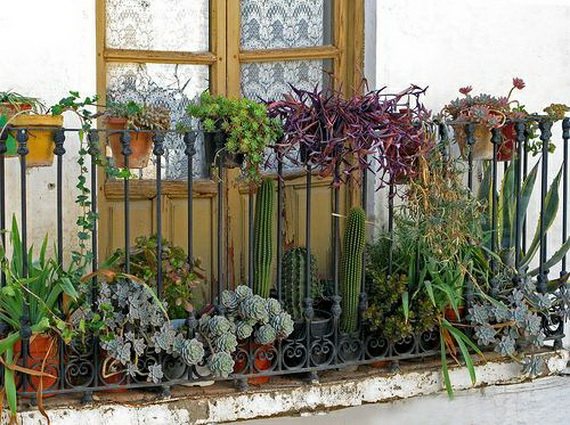 deco petit balcon plantes succulentes