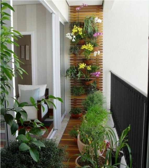 decoration plantes balcon