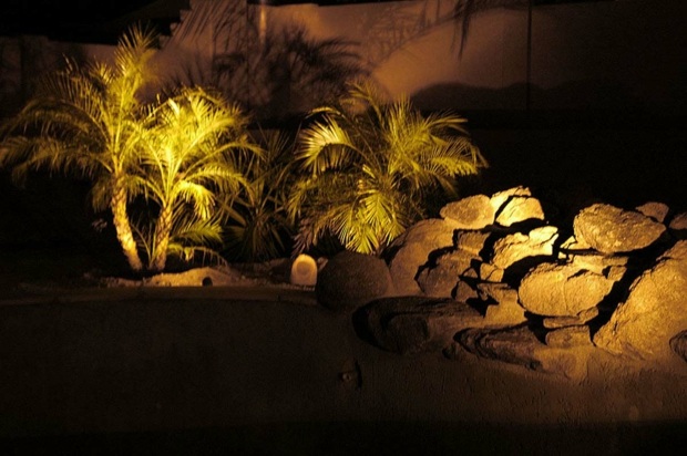 des projecteurs éclairent plantes et rochers