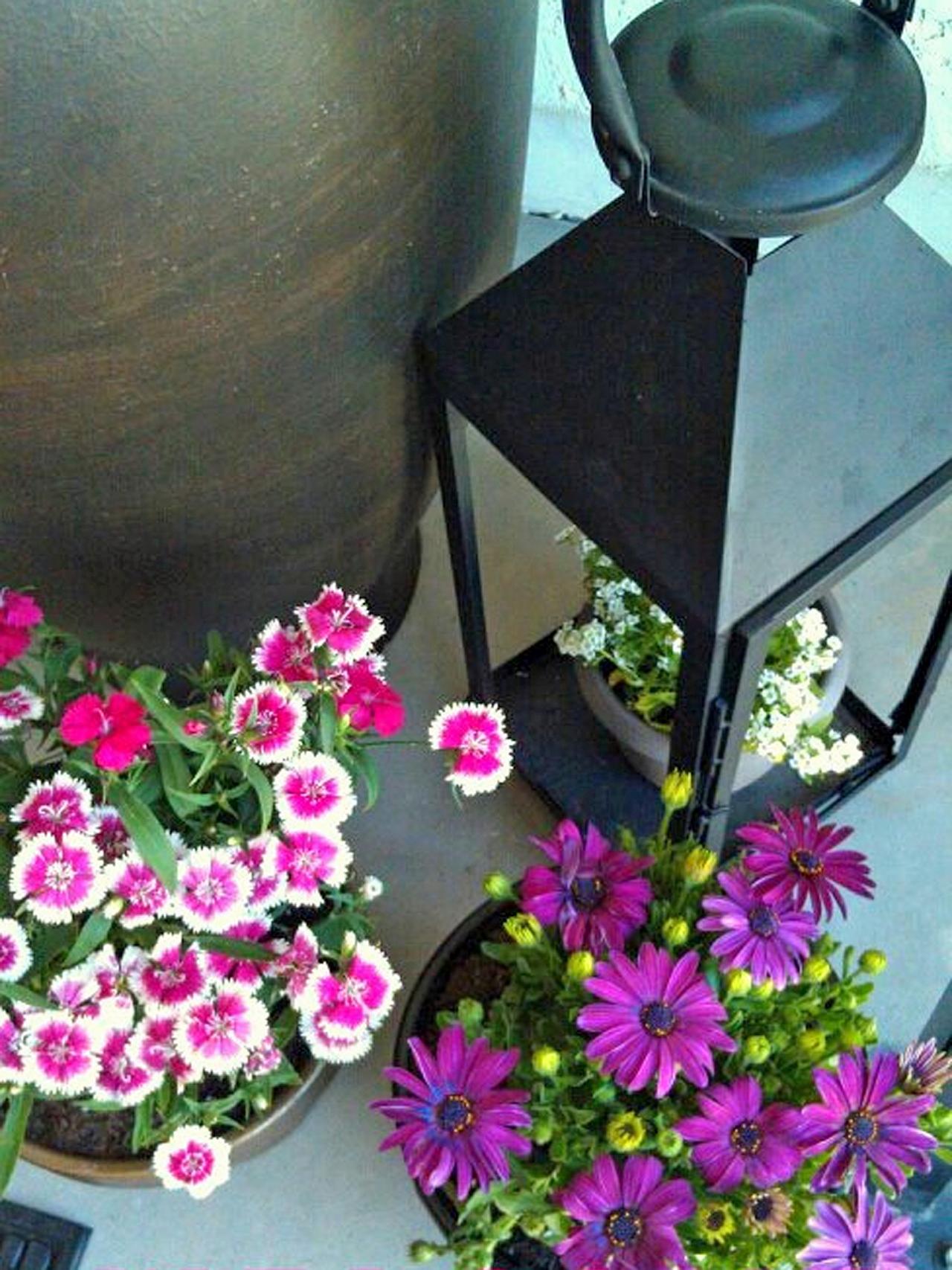 violets fleurs pot stylé élégance simple joli intéressant pâques idées de décoration originale