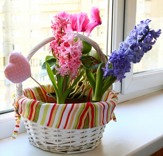 idee decoration plantes à fleurs d'intérieur