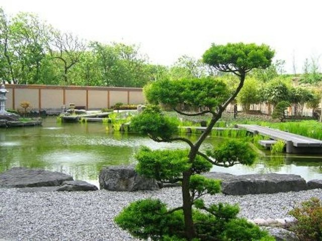 jardin aquatique japonais aménagement moderne