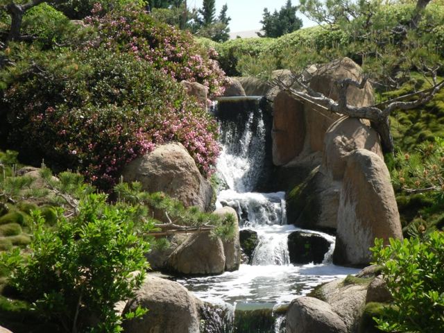 jardin japonais cascade paysage naturel
