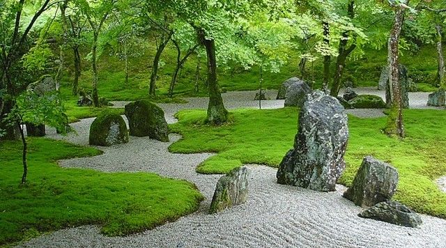 jardin japonais chemin forêt