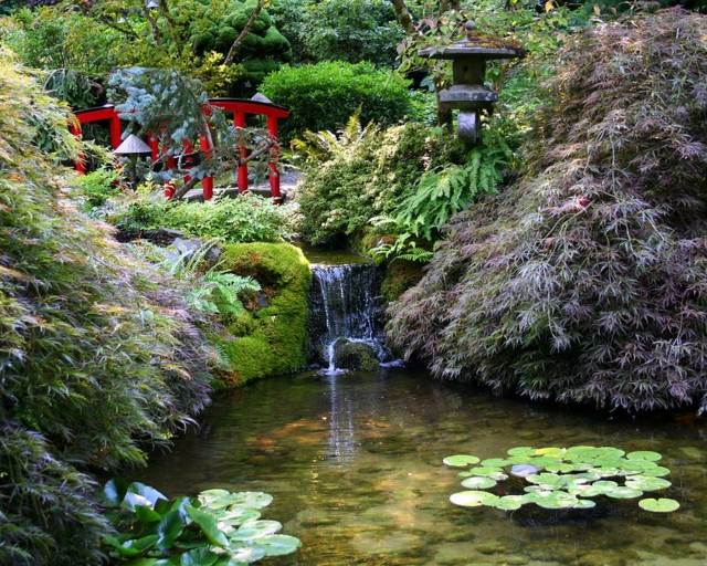 jardin japonais étang bassin aquatique cascade pont couleur rouge