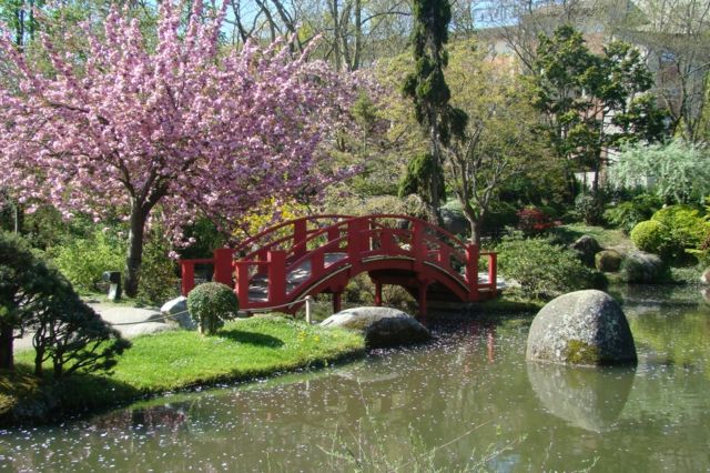 jardin japonais étang pont bois
