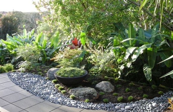 jardin paysager zen