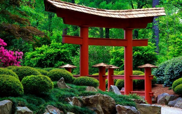 jardin pont style japonais roches plantes