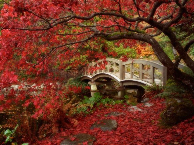jardin pont style japonais