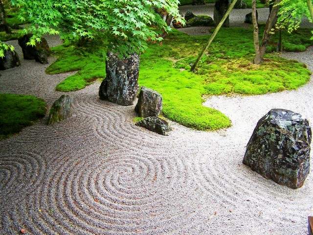 jardin zen cercles concentriques mousse