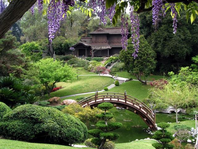 jardin zen pavillon thé harmonie courbes