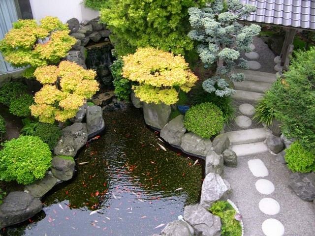 jardin zen poissons plan eau