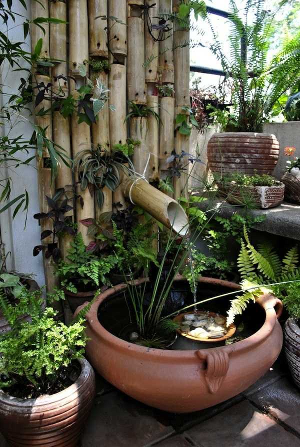 mini bassin plantes aquatiques argile bambou installation permanente