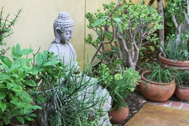 plantes verdoyantes et statue bouddhiste