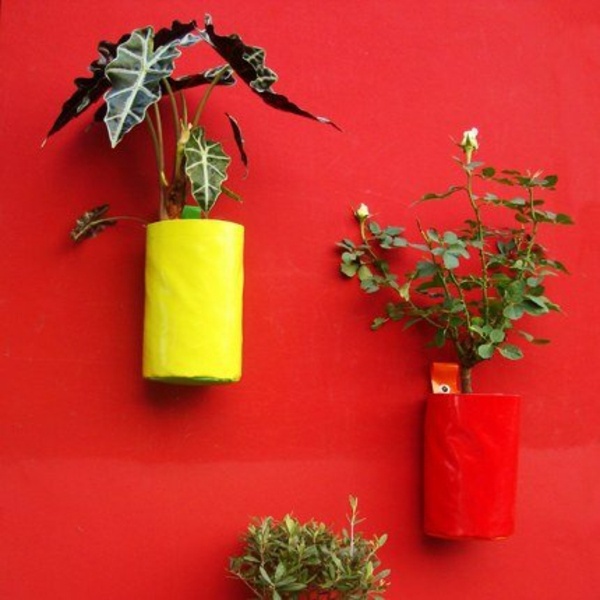 superbe idée pour faire pousser des plantes au mur