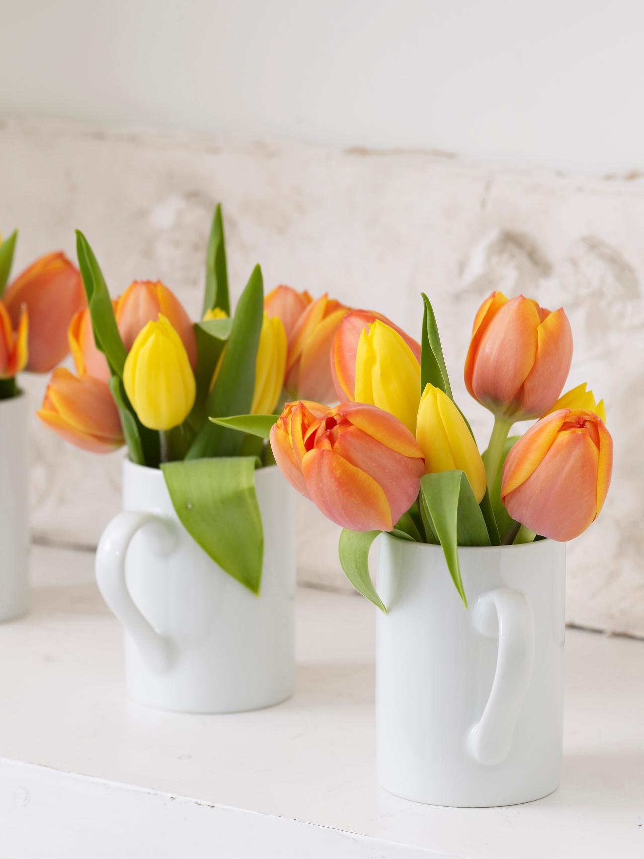 printemps maison déco jardin fleurs tulipes moderne décoration tasse orange