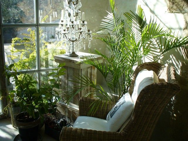 plantes pour veranda ambiance