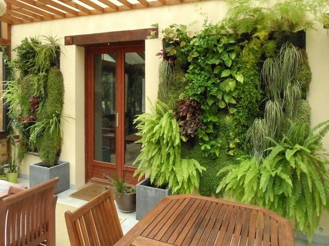jardin dhiver mur vegetal
