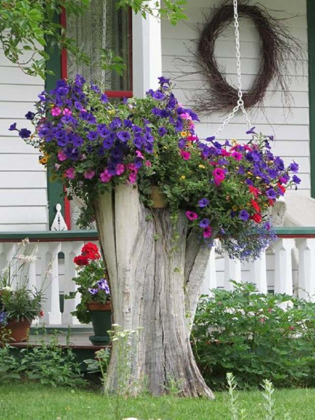 vue tronc arbre fleurs violettes decoration