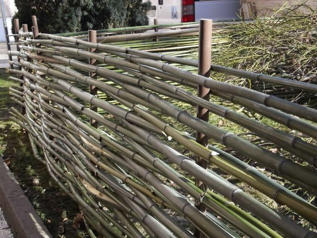 cloture tiges bambou entrelacées