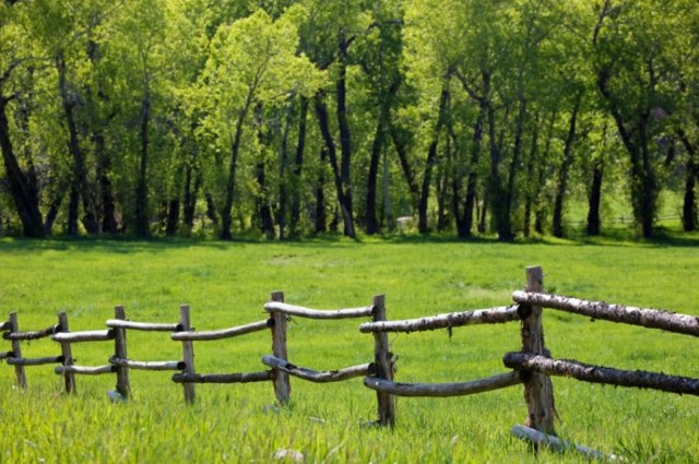 clôture bois rustique style ranch